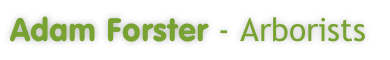 Adam Forster - Arborists

